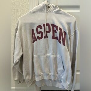 Brandy Melville John Galt Aspen Hoodie